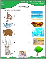 Hayvanlar Çalışma Sayfaları
